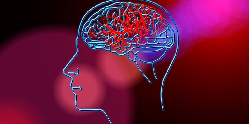 Ăn gì để cải thiện chức năng tuần hoàn máu não?1