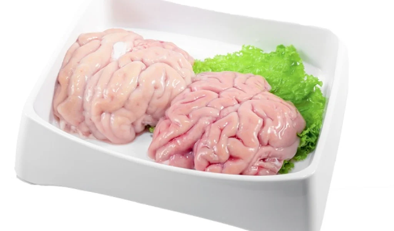 Ăn não heo có tốt không? Cần lưu ý những gì khi ăn não heo? 1