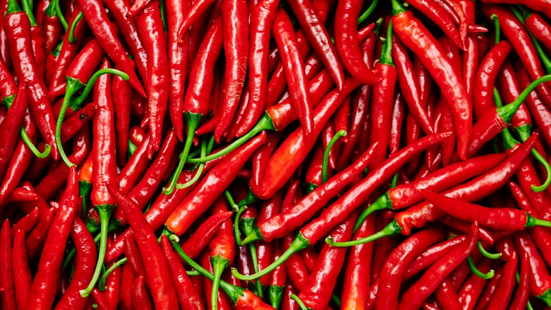 Quả ớt nổi bật nhờ hương vị cay nồng đặc trưng và màu sắc rực rỡ từ xanh, vàng, cam đến đỏ khi chín