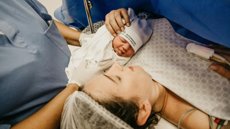 Sau sinh ăn rau răm có mất sữa không? Một số vị thuốc lợi sữa cho mẹ 1