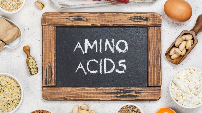 Axit amin có trong thực phẩm nào? 3