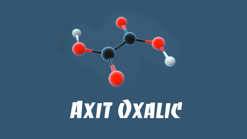 Axit oxalic có gây hại cho cơ thể không? 1