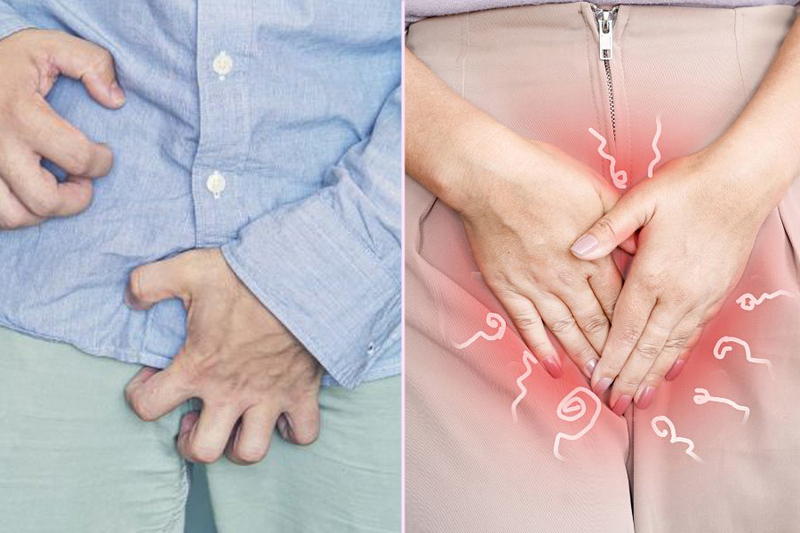 Ghẻ vùng kín là gì? Nguyên nhân, dấu hiệu và cách điều trị 2