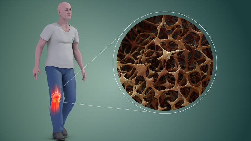 Rau sao nhái là gì? Đặc điểm và giá trị dinh dưỡng nổi bật 3