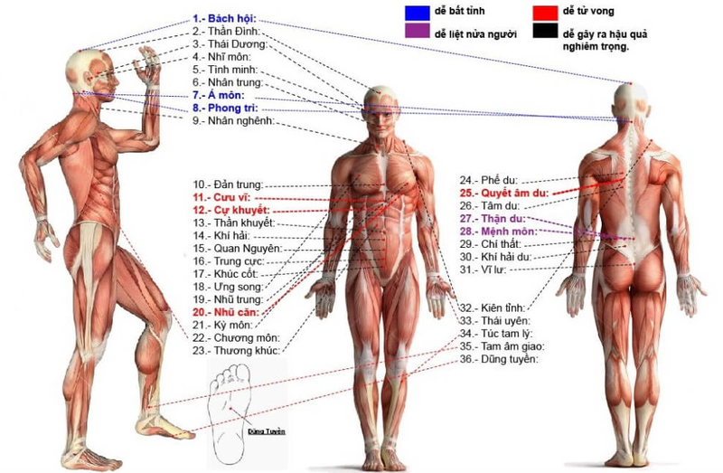 Thực hư hiệu quả phương pháp bấm huyệt tăng cường sinh lý nam 2