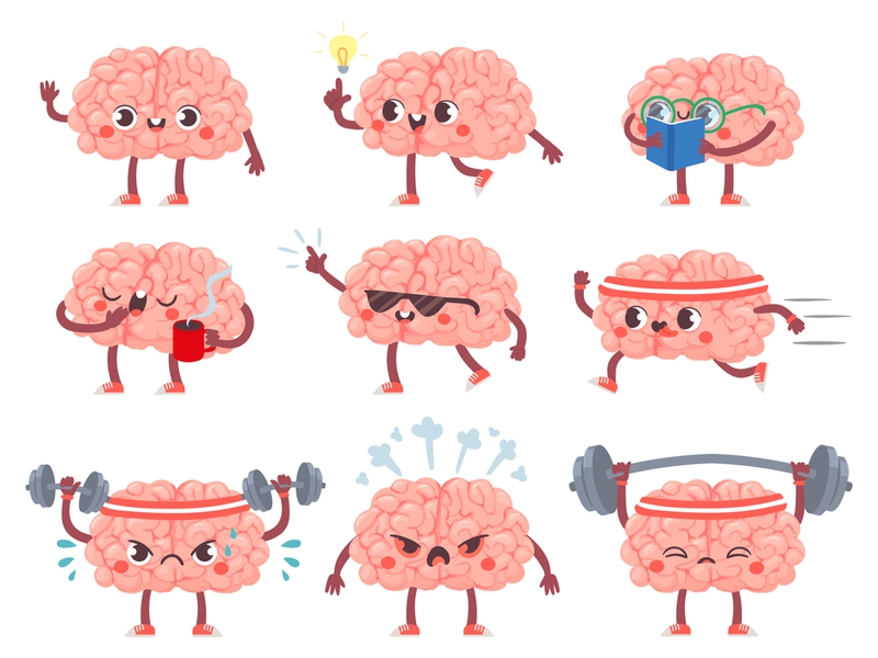 Bán cầu não phải có chức năng gì? Cách bảo vệ sức khỏe não 4