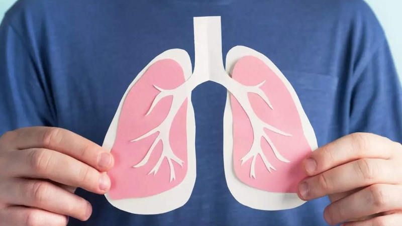 Bạn có biết phổi người nặng bao nhiêu 1