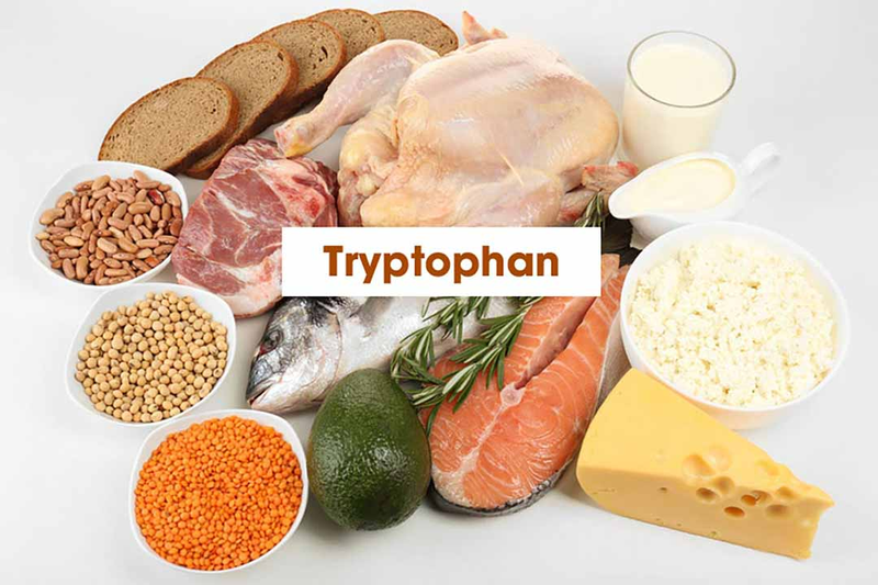 Tryptophan là gì? Lợi ích sức khỏe mà tryptophan mang lại4