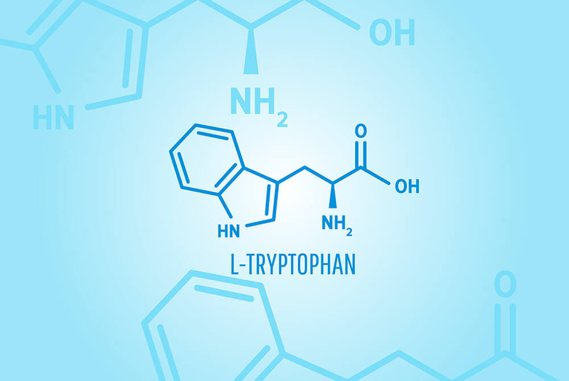 Tryptophan là gì? Lợi ích sức khỏe mà tryptophan mang lại5