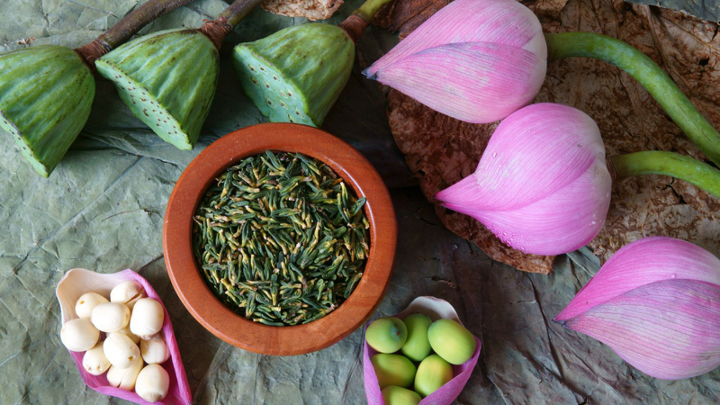 Bật mí cách uống lá sen khô giảm mỡ máu đơn giản và hiệu quả 1