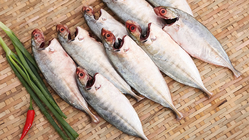 Bầu ăn cá bạc má được không? Lợi ích tuyệt vời của cá bạc má với sức khỏe thai kỳ 1