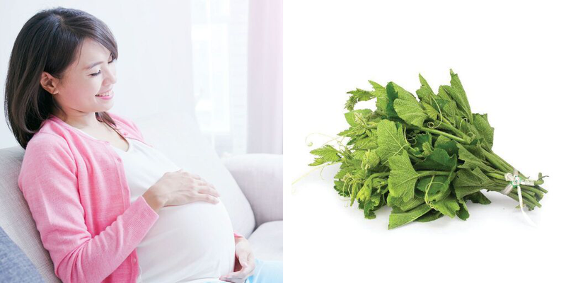 Bầu ăn rau bí được không? Những lợi ích của rau bí đối với phụ nữ mang thai 3