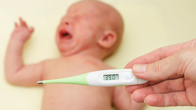 Bệnh ban đào: Nguyên nhân, triệu chứng, cách điều trị 3