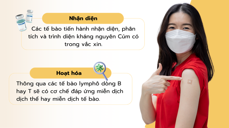 benh-cum-giai-dap-cac-cau-hoi-thuong-gap-ve-benh-cum-5.png