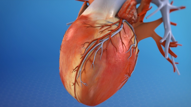 Bệnh nhân tim mạch cần chuẩn bị gì trước khi chụp CT? Những lưu ý cần biết 1