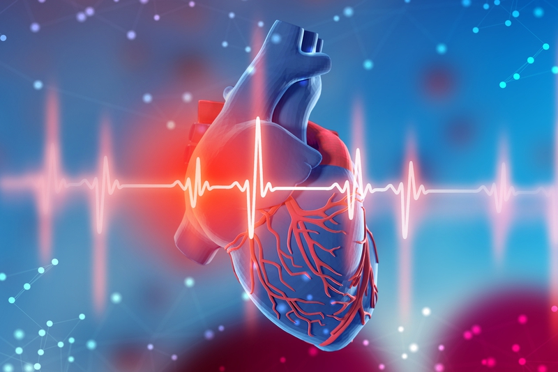 Bệnh tim mạch là gì? Các tác nhân gây bệnh tim mạch mà bạn nên biết  1