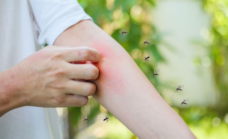 Bệnh truyền nhiễm được chia thành mấy nhóm? Các biện pháp phòng bệnh 3