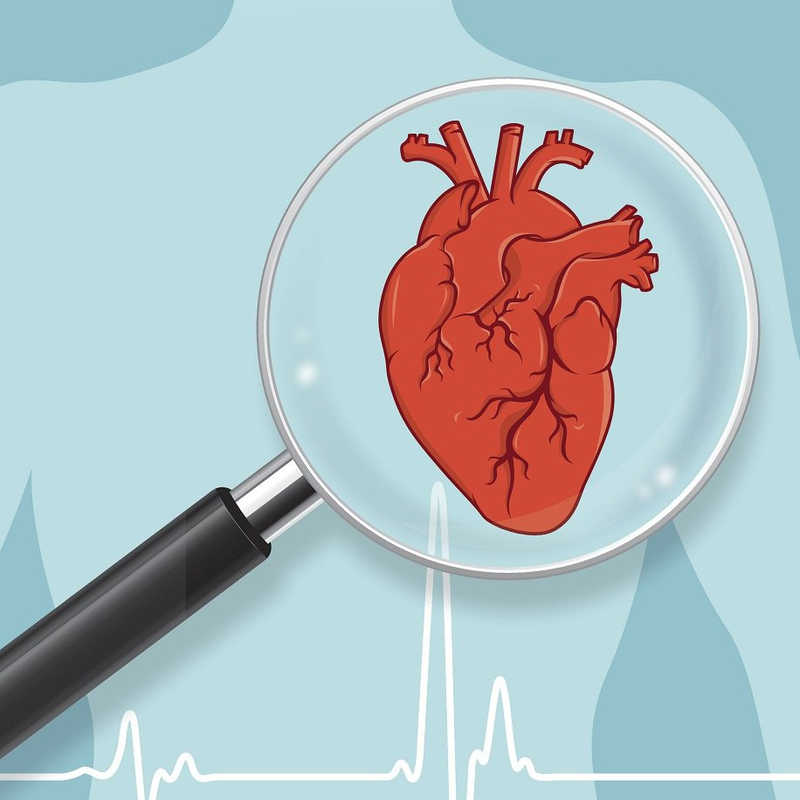 Bệnh van tim có mấy loại? Vai trò quan trọng của van tim đối với cơ thể con người 2