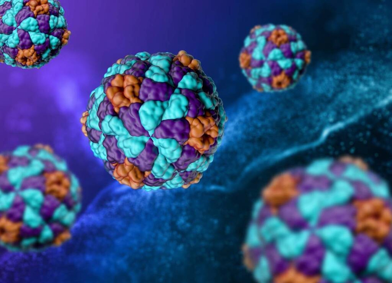 Bệnh viêm gan A lây truyền qua đường nào? Biện pháp phòng ngừa bệnh viêm gan A 1