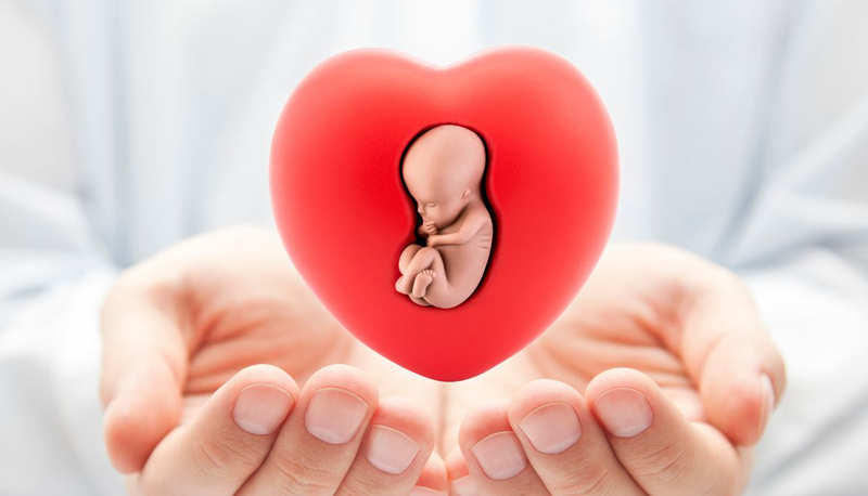 Bị cúm có chuyển phôi được không 2