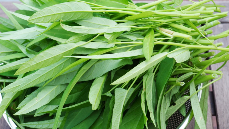 Bị sẹo lõm có nên ăn rau muống không? Những điều cần biết 2