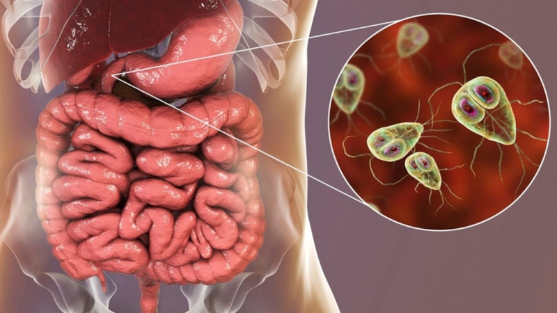 Bị tay chân miệng kèm tiêu chảy: Nguyên nhân, dấu hiệu và cách chăm sóc 2