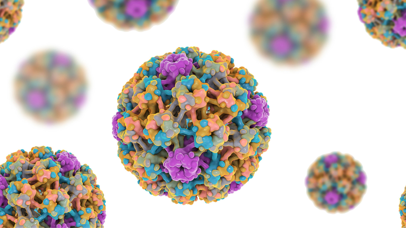 BJ không an toàn có nguy cơ mắc HPV