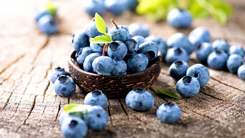 Blueberry là trái gì? Lợi ích của Blueberry đối với sức khỏe 1