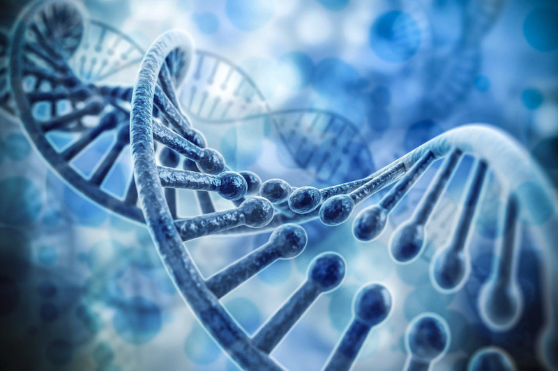 Nhiễm sắc thể chứa gen được kế thừa từ cha mẹ