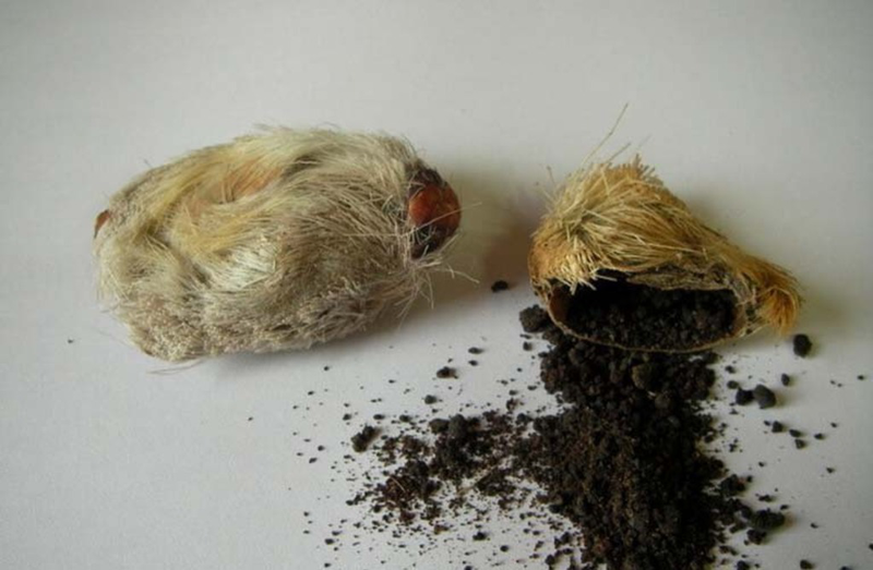 bot-xa-huong-co-cong-dung-gi-doi-voi-suc-khoe 1.jpg