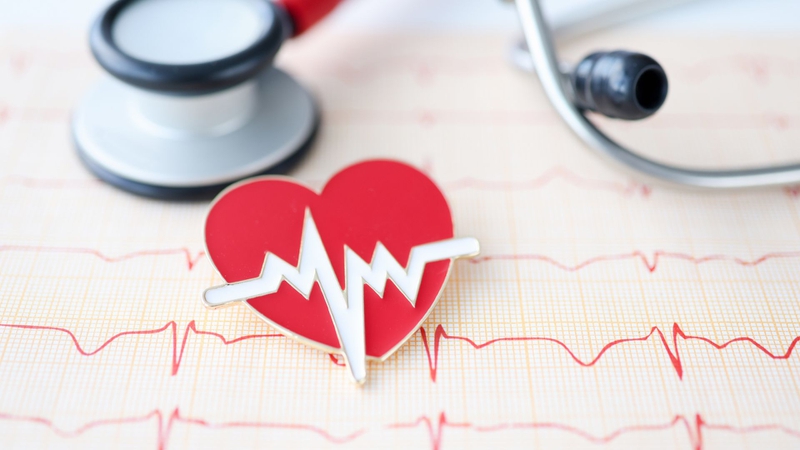 Cá bông lau: Giá trị dinh dưỡng và lợi ích sức khỏe từ loài cá nước ngọt được ưa chuộng 2