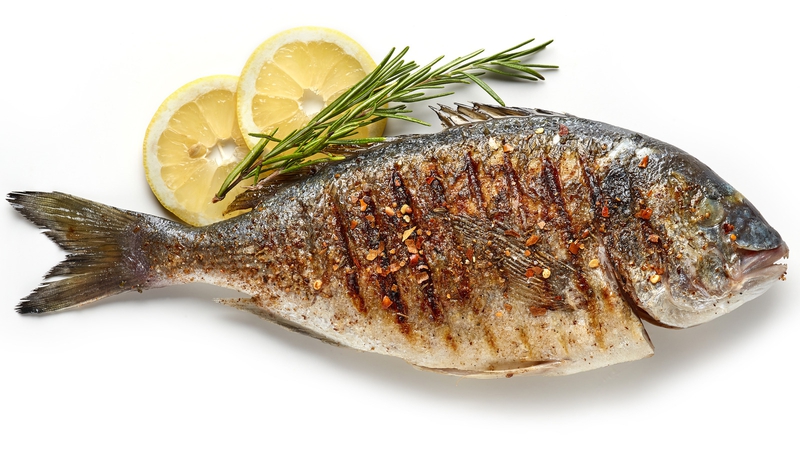 Cá cung cấp chất gì? Lợi ích của cá đối với sức khỏe 4