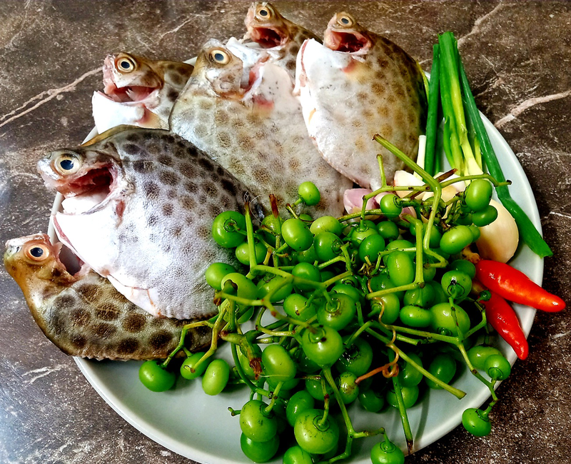 Cá nâu: Khám phá đặc điểm và giá trị dinh dưỡng 4
