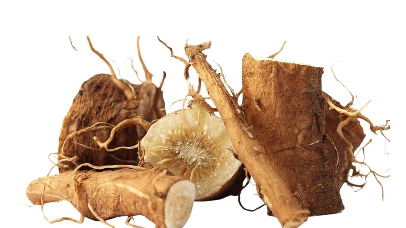 Cà phê Chicory: Thành phần dinh dưỡng và lợi ích sức khỏe 1