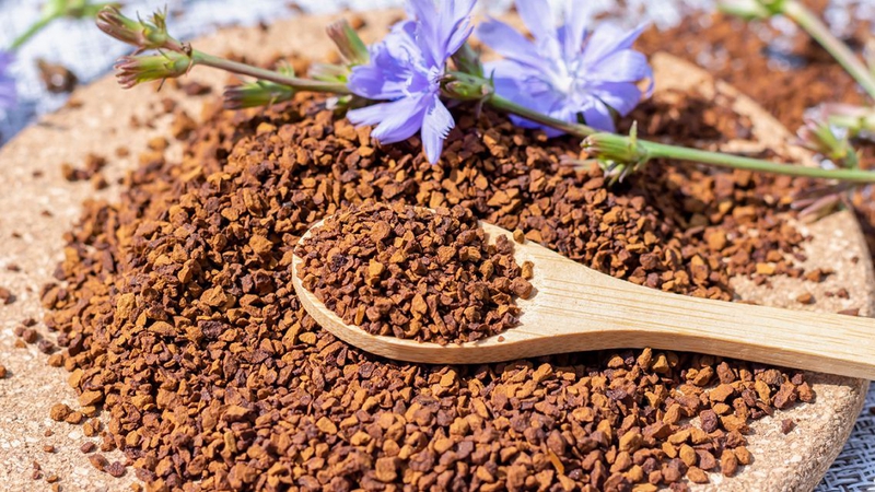 Cà phê Chicory: Thành phần dinh dưỡng và lợi ích sức khỏe 3