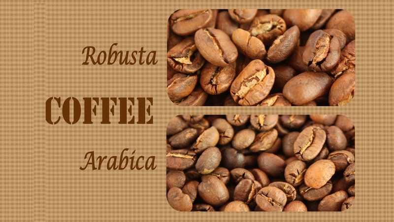 Việc đánh giá cà phê Robusta hay Arabica “ngon hơn” phụ thuộc phần lớn vào khẩu vị cá nhân và mục đích sử dụng