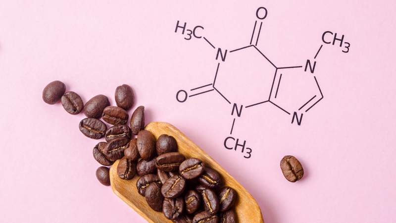 Cà phê Robusta chứa hàm lượng caffeine cao hơn đáng kể