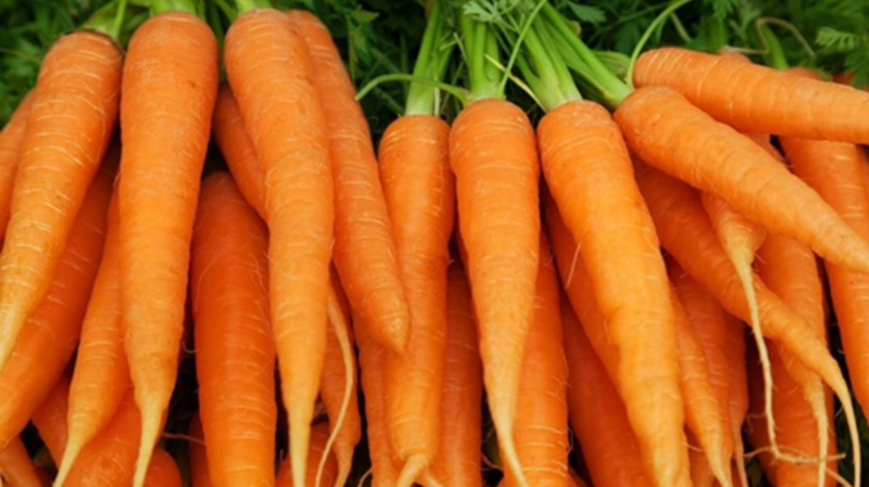 Cà rốt có tác dụng gì? Những lợi ích đáng kinh ngạc của cà rốt cho sức khỏe 1