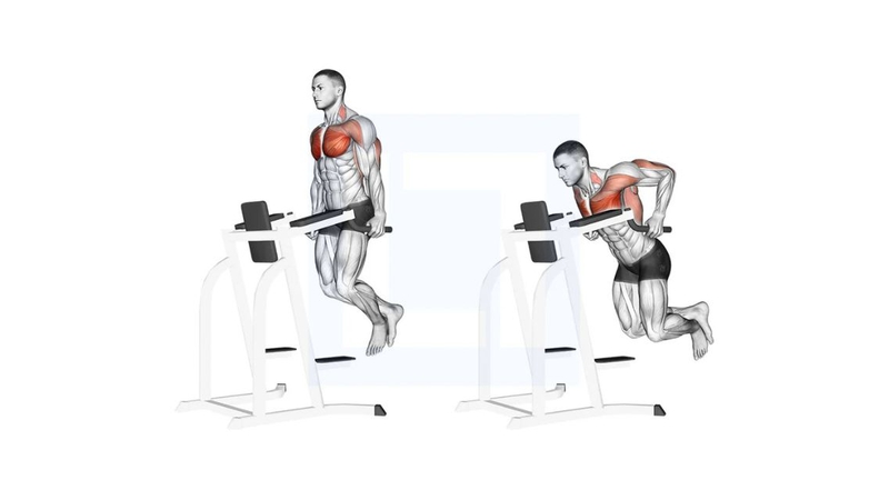 Các bài tập ngực trên hiệu quả, dễ tập cho người mới bắt đầu 7