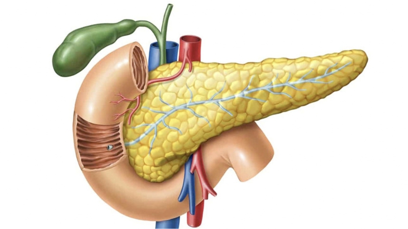Bạn có biết các bệnh thường gặp ở tụy? 1
