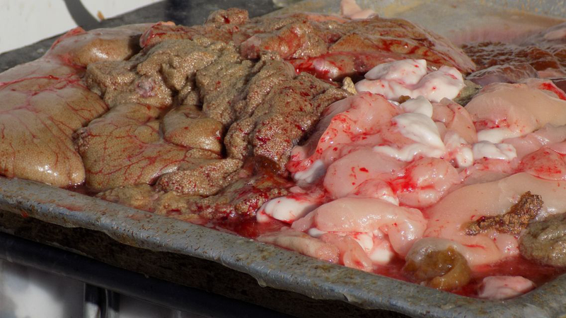 Trứng cá cũng là một trong những bộ phận của cá có lợi cho sức khỏe