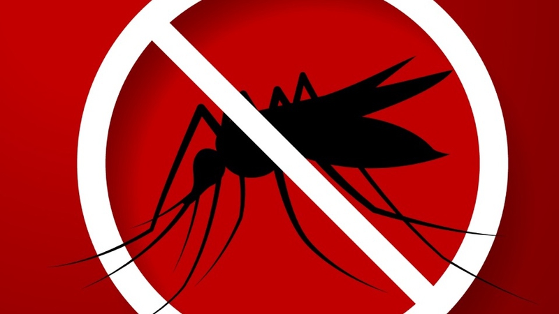 Các dấu hiệu bệnh sốt xuất huyết có thể gặp 3