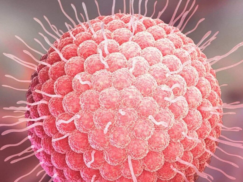 Các điểm tiêm ngừa zona tại Bình Phước và lịch tiêm phòng vắc xin zona   1