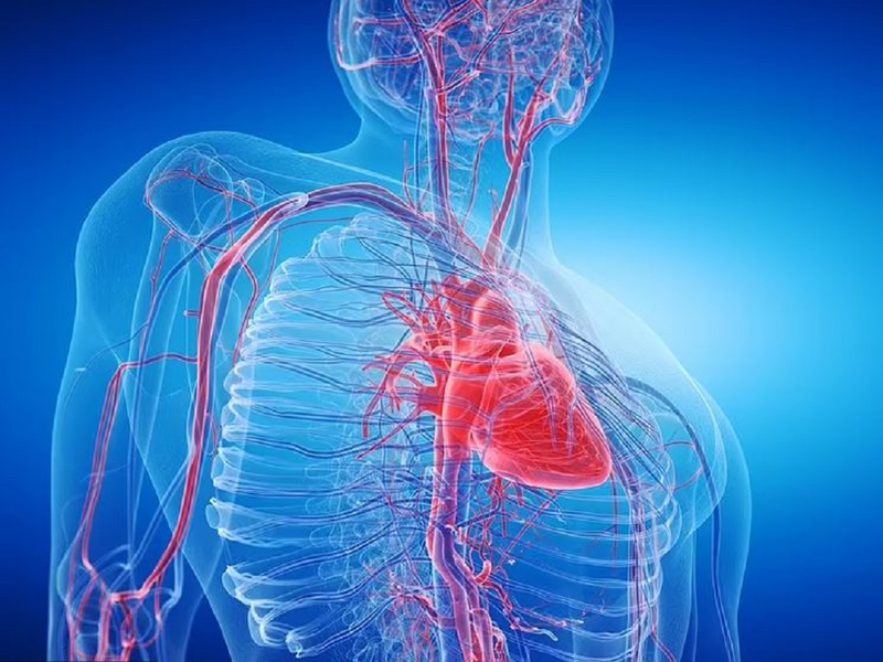 Các loại thuốc mê hô hấp phổ biến và chỉ định dùng thuốc gây mê người bệnh nên biết 2