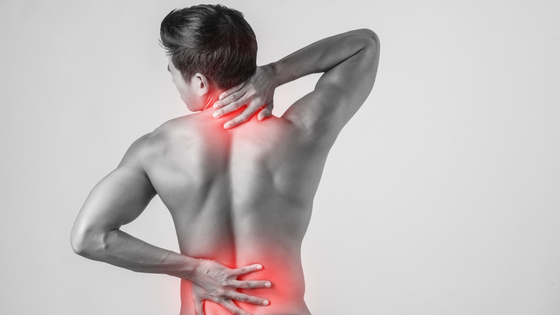 Các nhóm cơ lưng và cách tập luyện hiệu quả 4