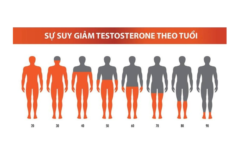 Tổng hợp cách tăng testosterone nam giới cần biết 1