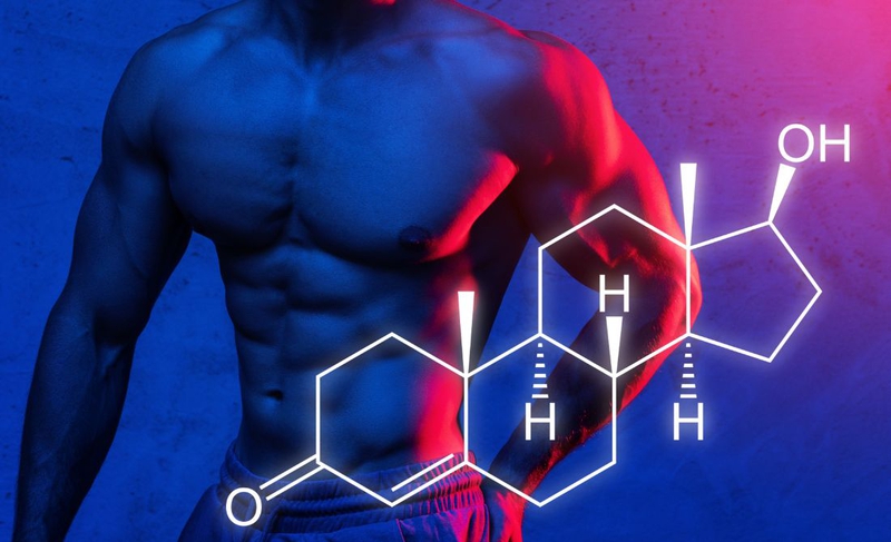 Tổng hợp các thức ăn tăng cường testosterone hiệu quả 1