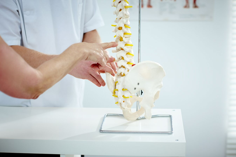 Các yếu tố ảnh hưởng đến xương và cách giúp duy trì sức khỏe xương 1