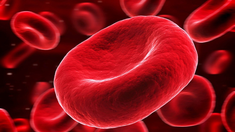 Các yếu tố đông máu và cách phân loại các yếu tố đông máu 3