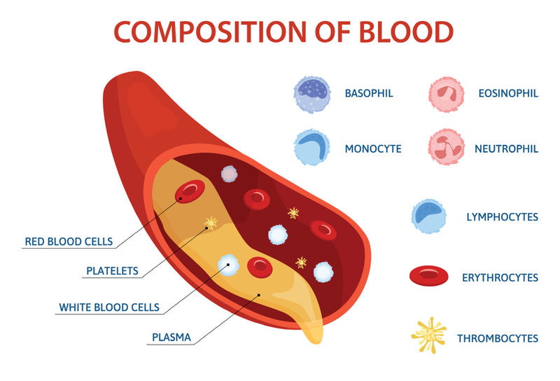 Các yếu tố đông máu và cách phân loại các yếu tố đông máu 2